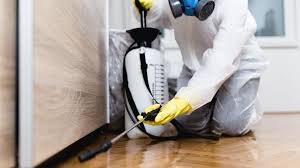 Best Fumigation Services  in Cambridge City, IN